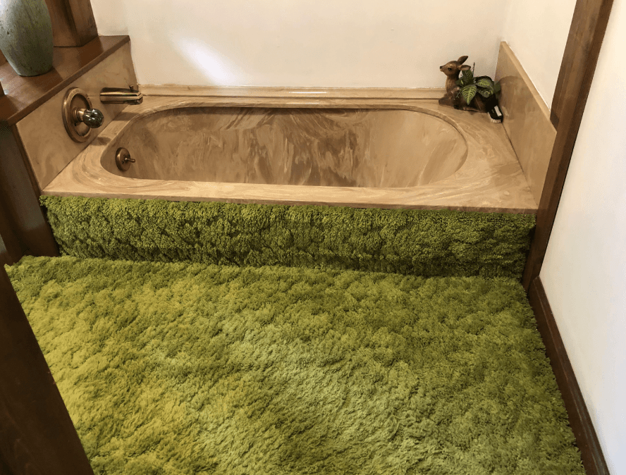 Bathroom before renovation — carpeted floor, outdated fixtures